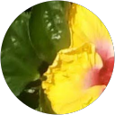 Ingrid Santiago profile picture